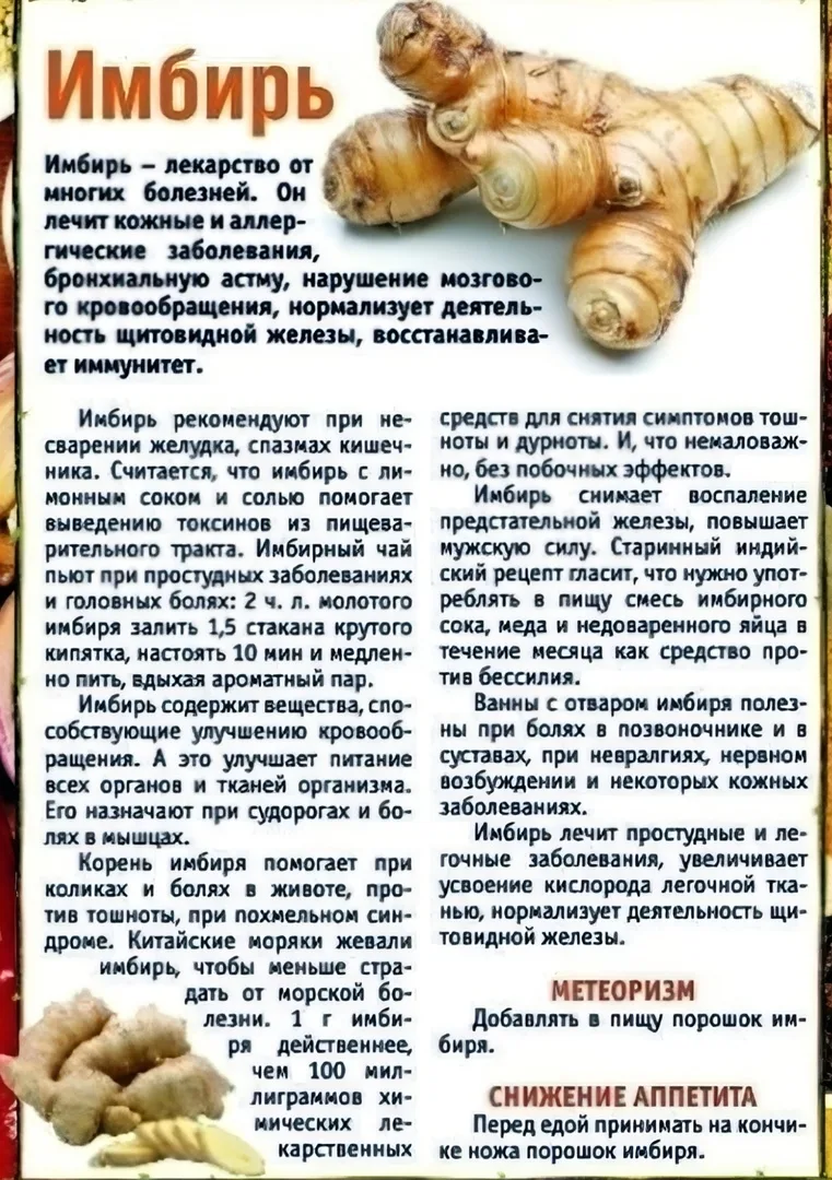 Имбирь