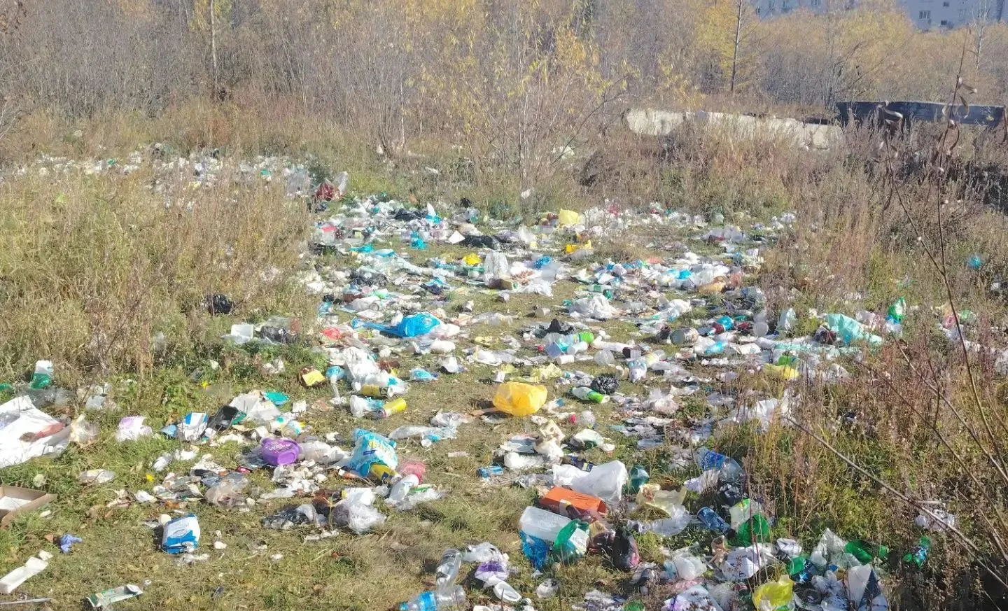 После вмешательства природоохранной прокуратуры ликвидирована несанкционированная свалк...