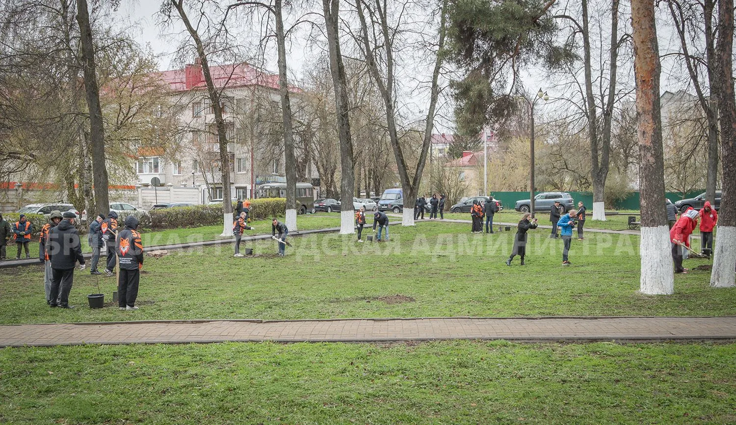 В сквере Памяти трагедии в Чернобыле посадили 15 клёнов  В канун 40-летней годовщины катастрофы на Ч