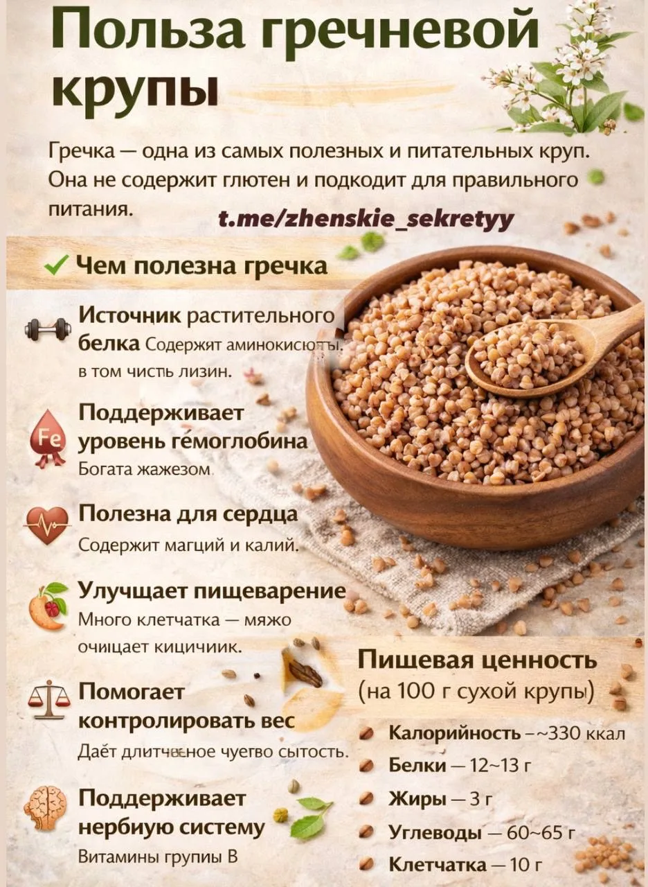 Гречка — одна из самых полезных и питательных круп. Она не содержит глютен и подходит д...