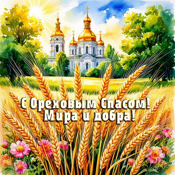 Сколько можно съедать орехов в день?
