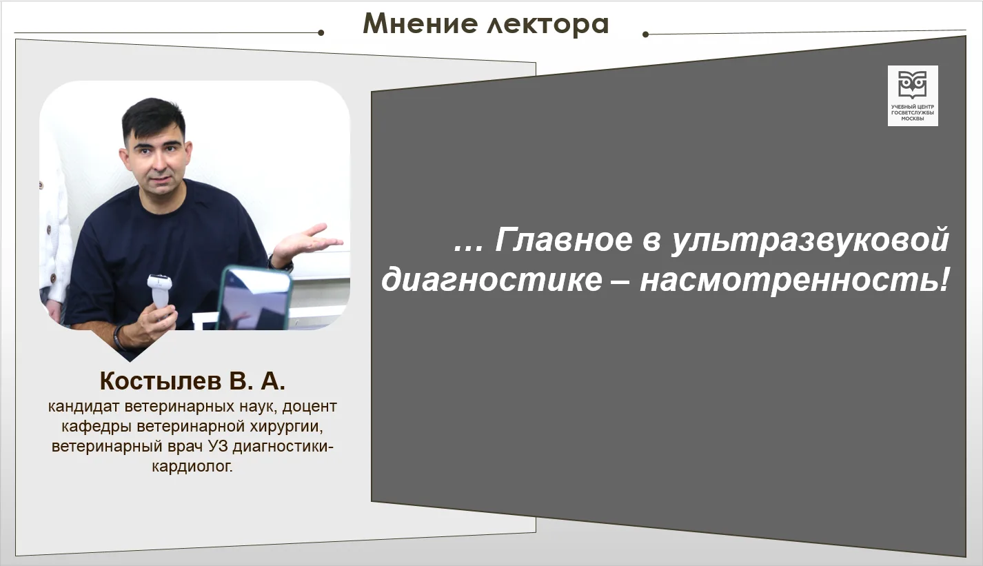 ▶️ Подводя итоги курса повышения квалификации по ультразвуковой диагностике у мелких до...