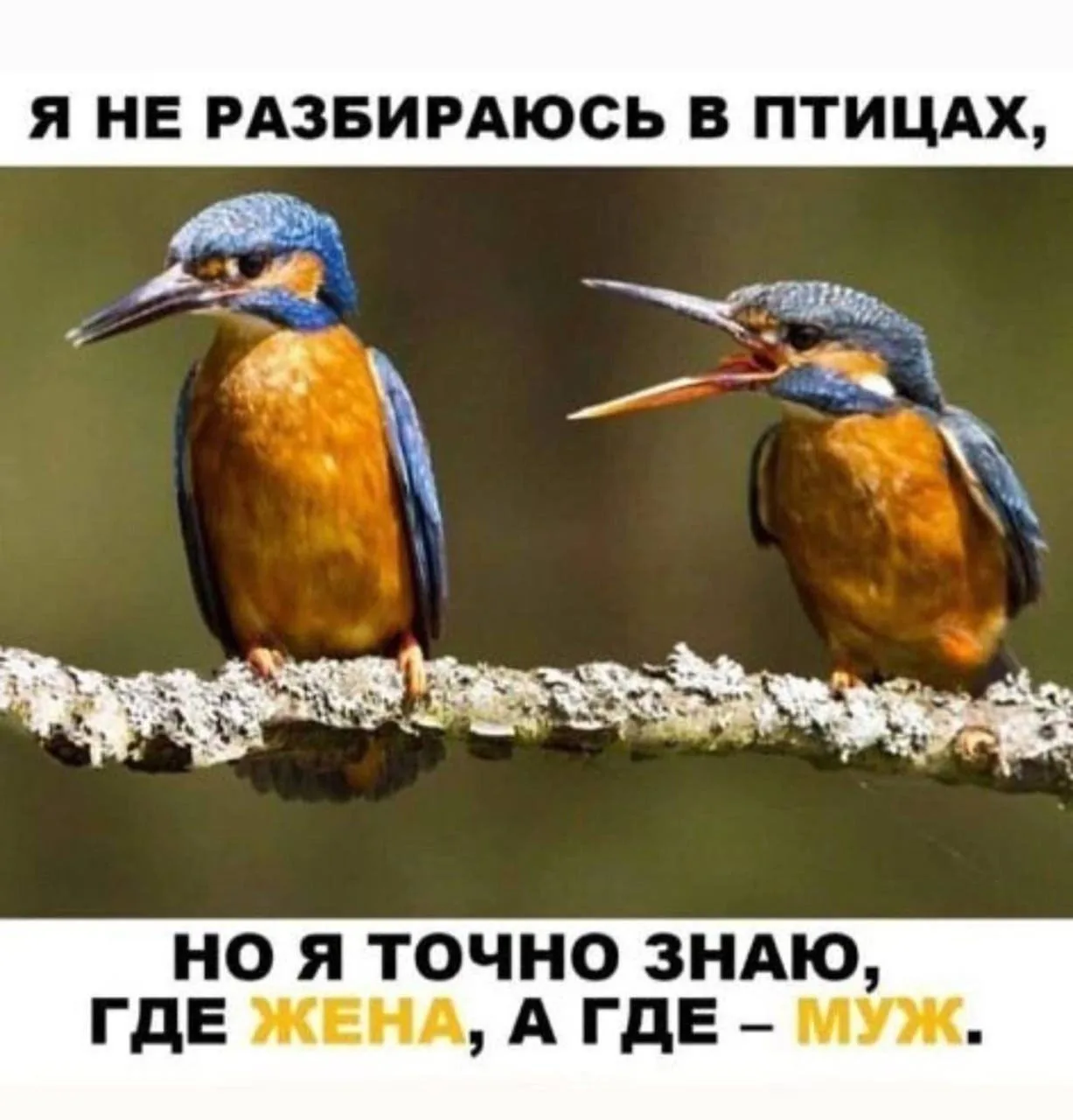 Записки алкоголика🥃 | Мы в MAX