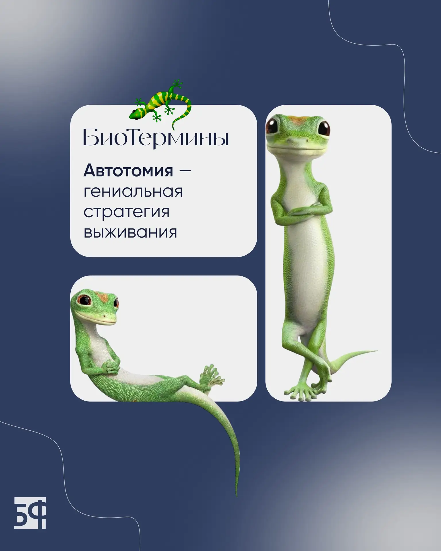 ✂ Бросай и беги