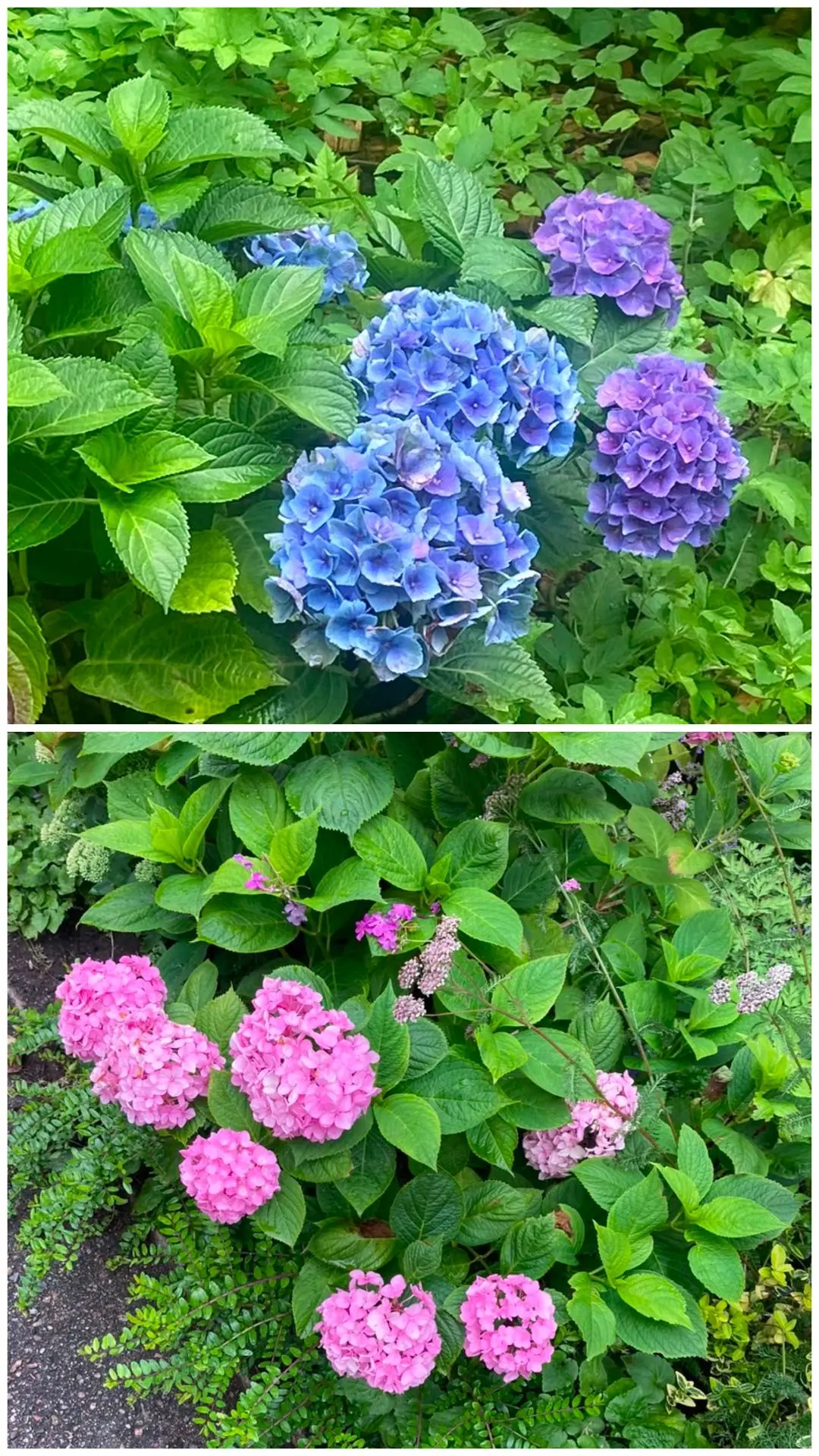 Доброе утро!🌷

Чт.  30 июля  2026г. Погода: ☀️днём до + 26°

⭐Памятные даты
1829 год - в Москве  за