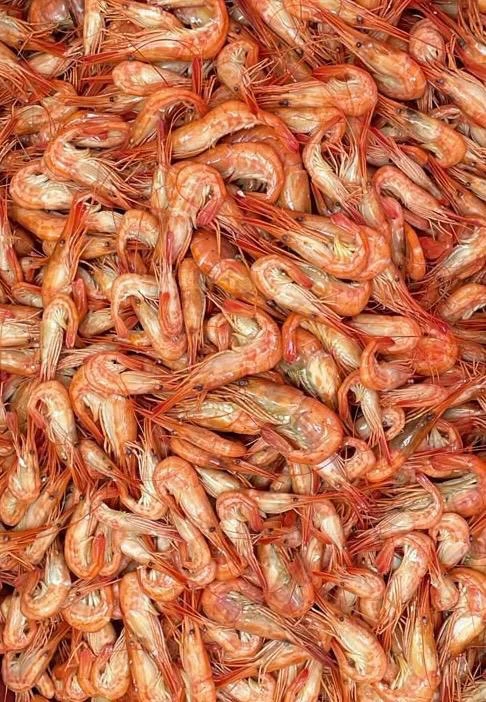 *САХАЛИНСКИЙ ЧИЛИМ MIX ТОЛЬКО С ВАРКИ* 🦐🔥

2️⃣8️⃣0️⃣0️⃣ р/кг за наличку
3️⃣0️⃣0️⃣0️⃣ р/кг безнал

