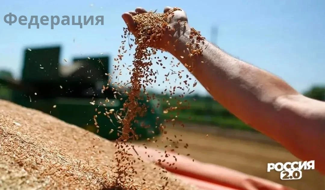 Проблемы с экспортом зерна бьют по бюджету Украины