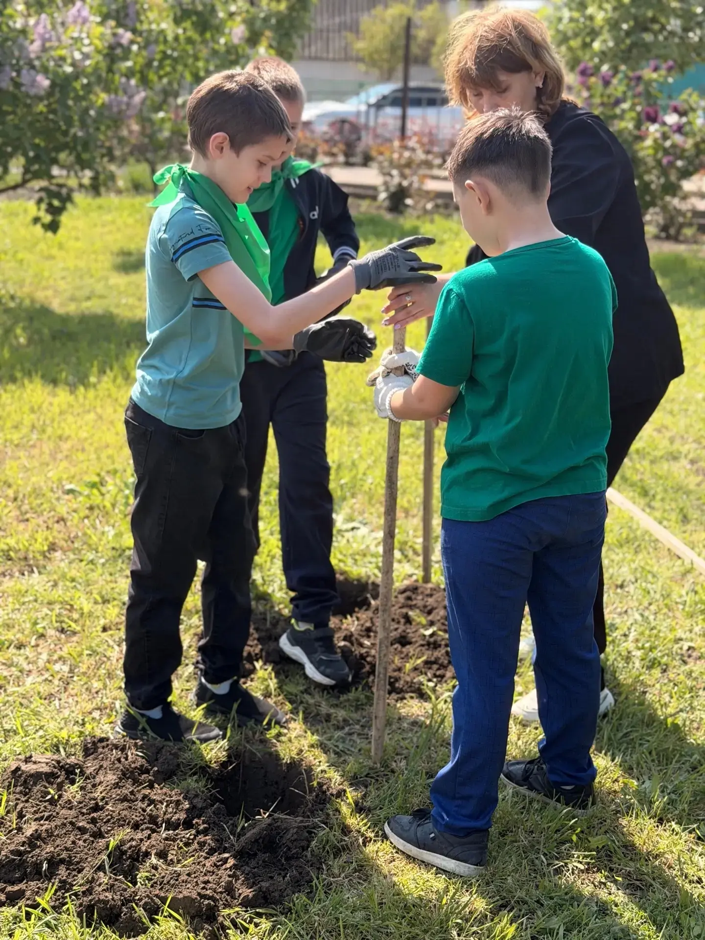 🌳 Дубовая Аллея в память о героях Великой Отечественной войны🌳  3г класс МАОУ СОШ №7 стал частью важ