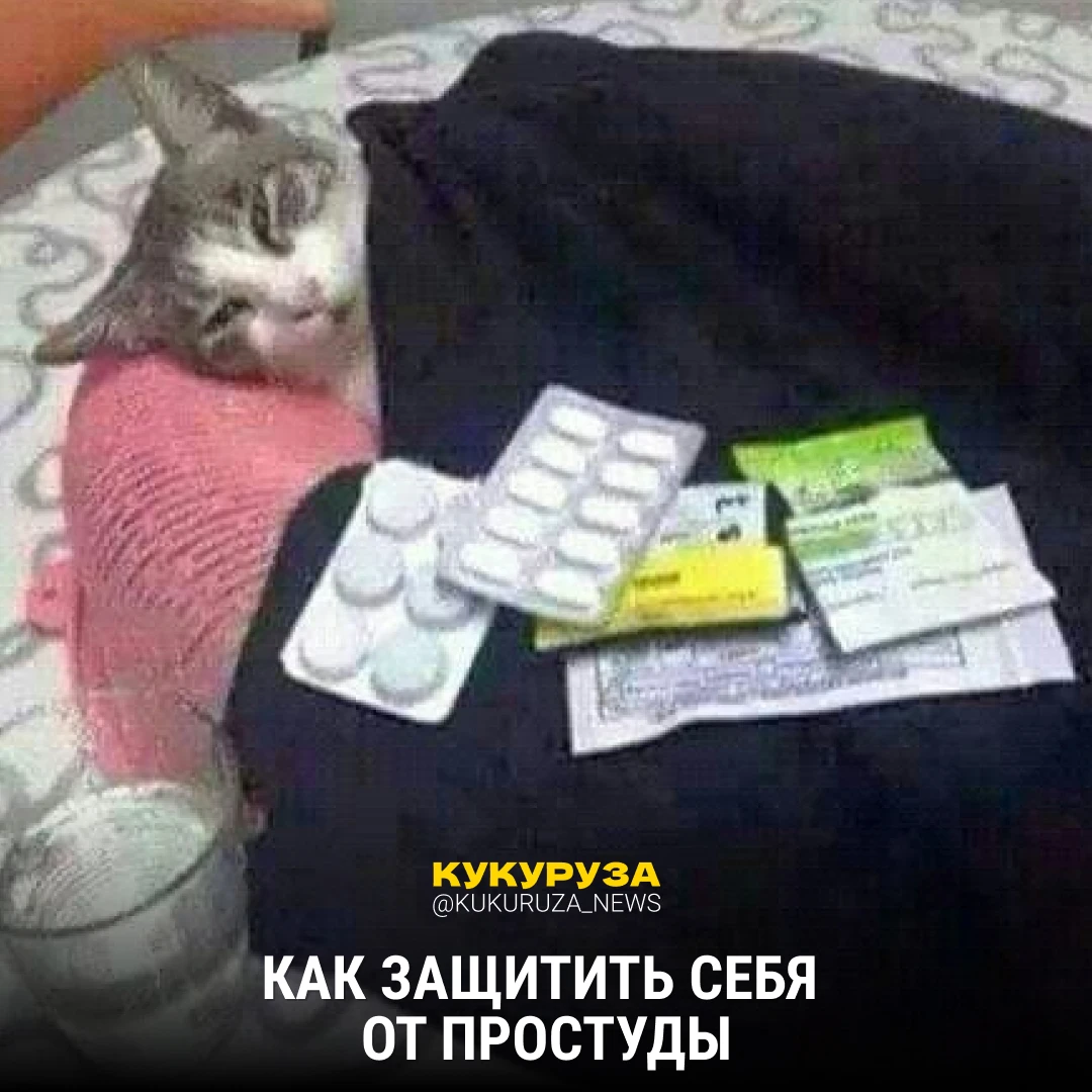 Осень — волшебная пора. Все кругом болеют и страдают!