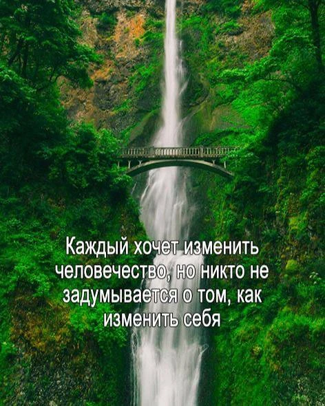 #цитаты