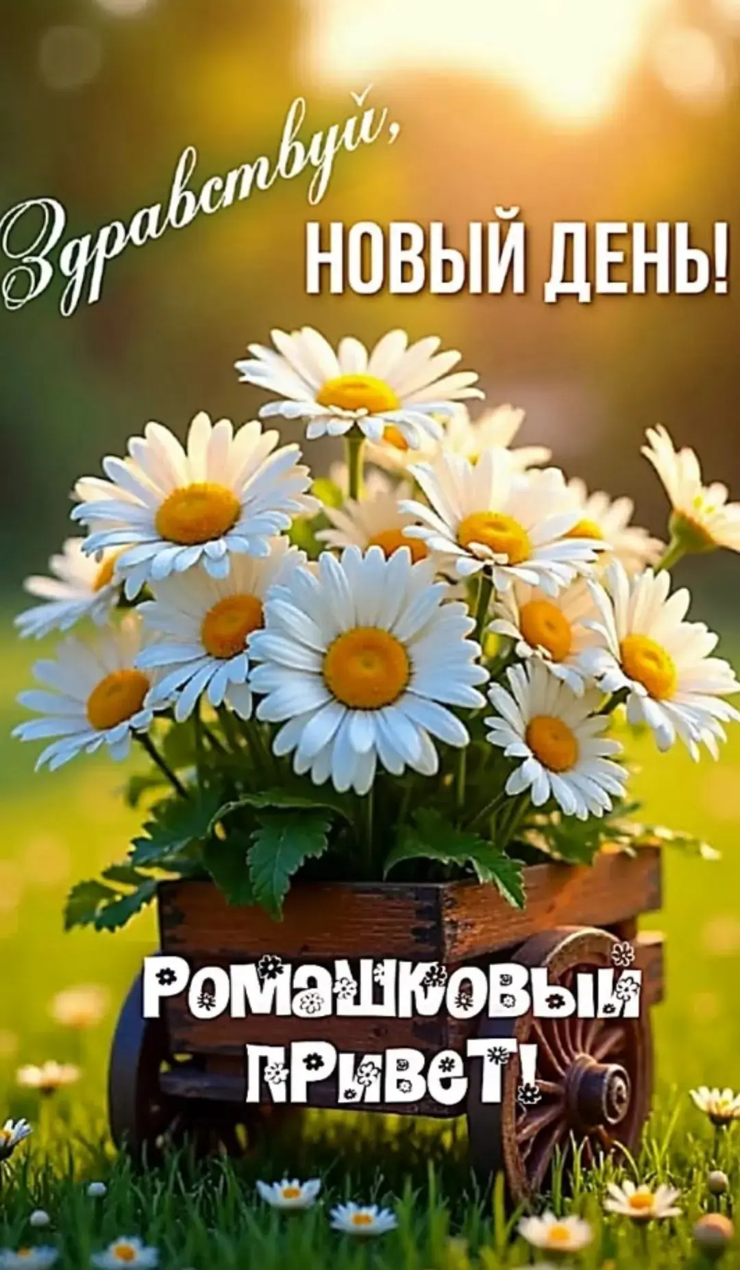 Ставь 👍, если нравится открытка и делись с близкими!