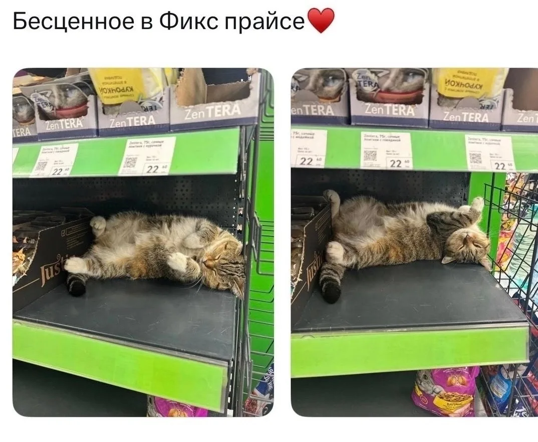 Почему опять нет ценника?