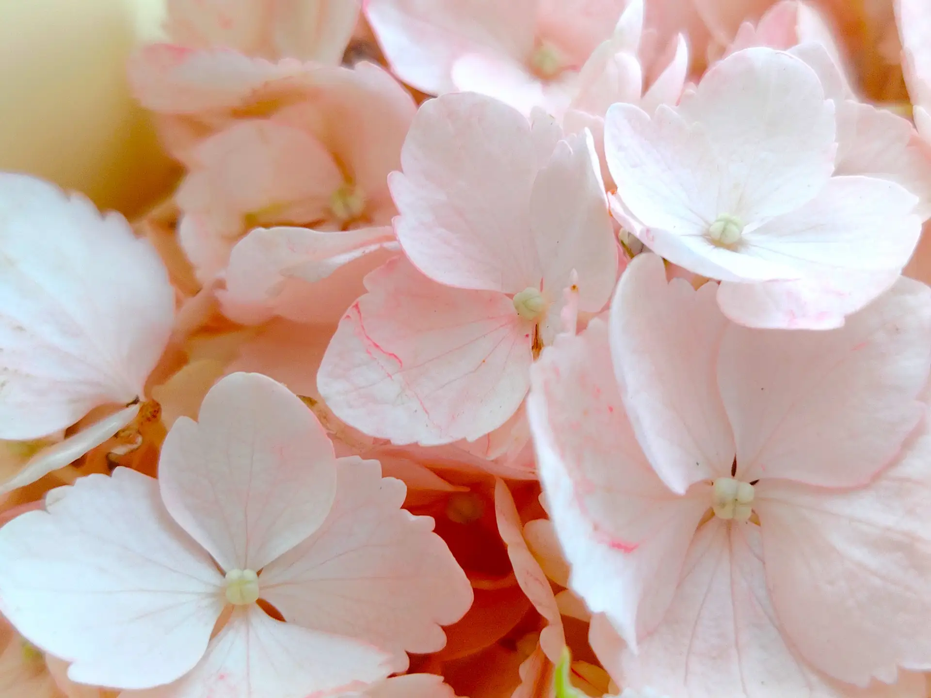 🌅 Доброе утро, Армянск!

🍀  Желаем вам успешного и продуктивного дня!

☁️ Сегодня в Армянске облач