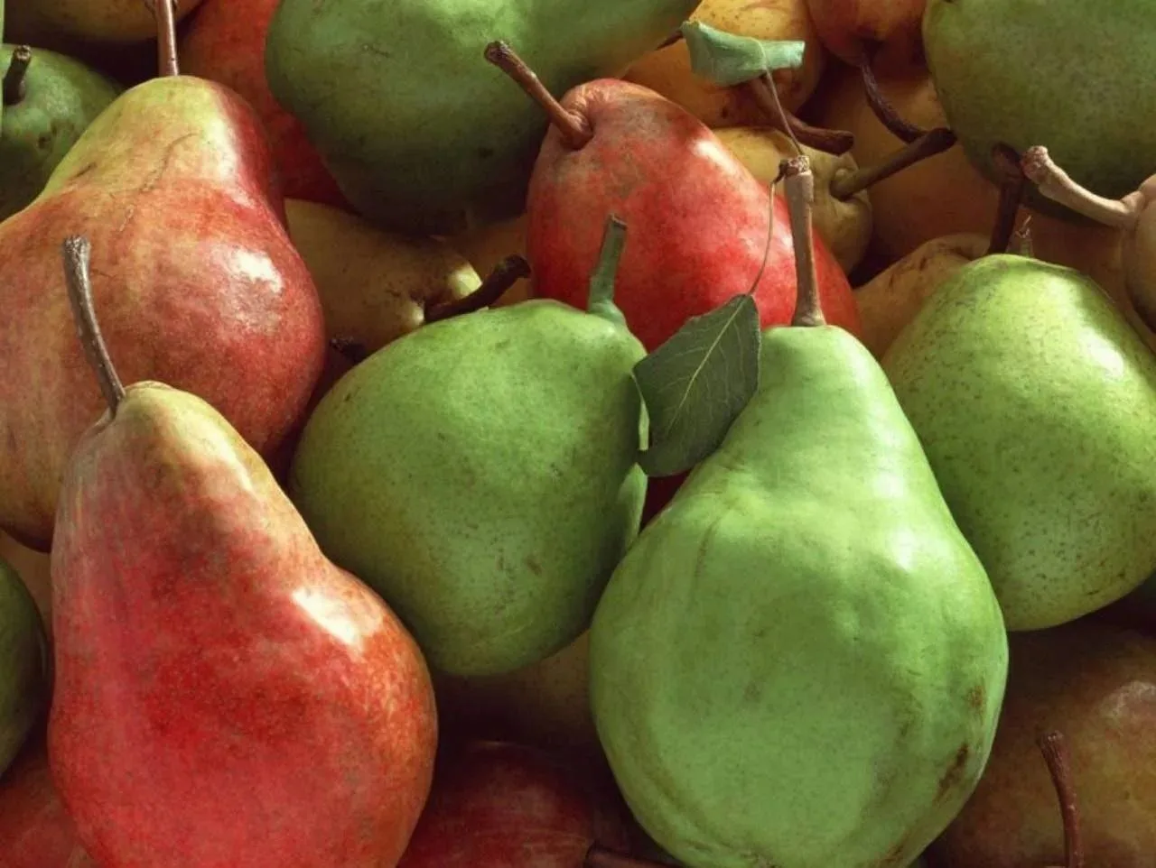 🍐 Груша — суперфрукт для здоровья кишечника 💥