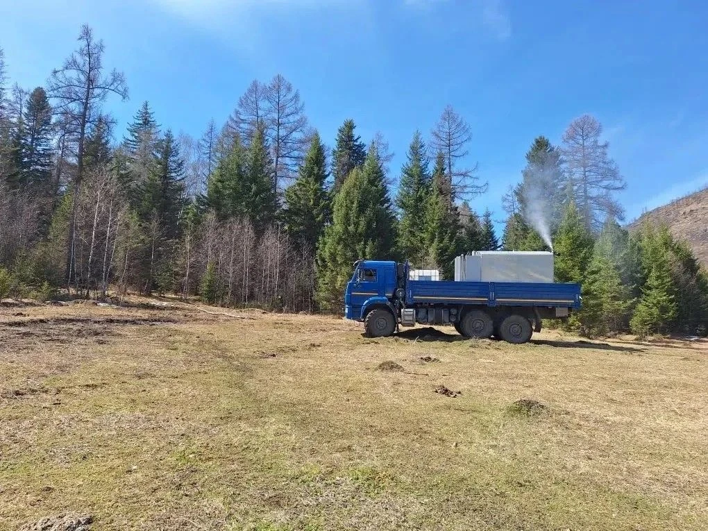 🌲 Республика Алтай внедряет инновационные технологии для защиты лесов от вредителей