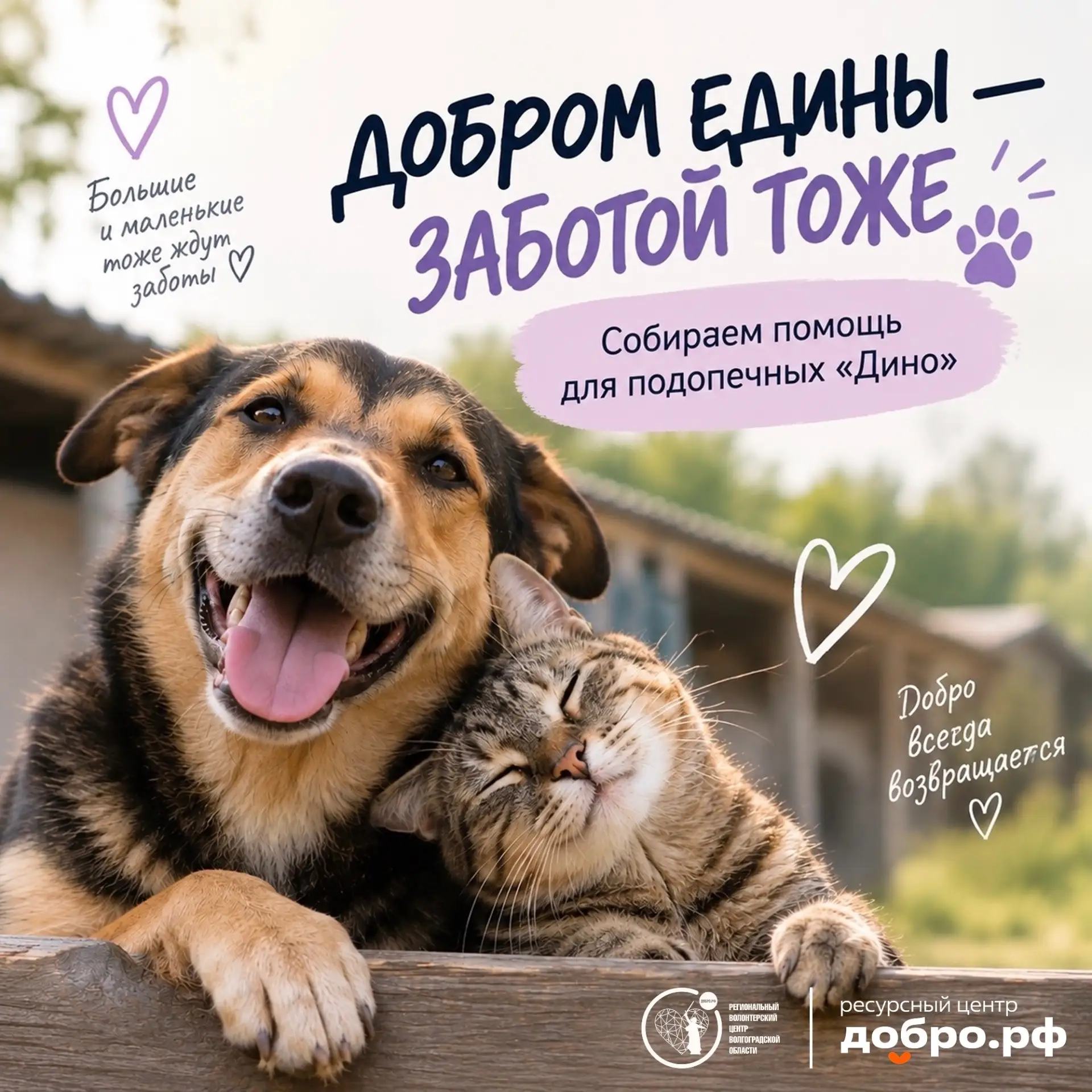 💜 «Добром едины»: собираем посылку в «Дино»