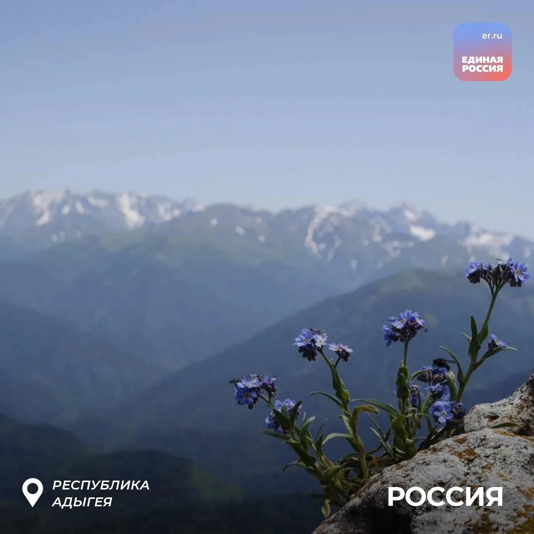 ✅ Присоединяйтесь к нашей рубрике #КрасотыАдыгеи

📌 Отмечайте нас на фотографиях с видами Адыгеи и 