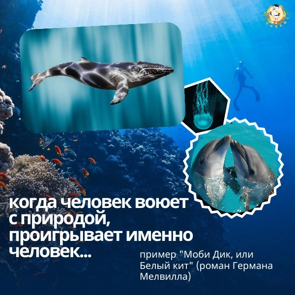 🧐 А ты знаешь, что сегодня (23 июля) – Всемирный день китов и дельфинов?

🐳 Именно 23 июля 1986 Ме