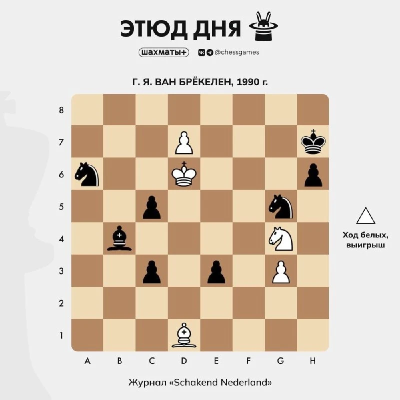 ♟ Этюд дня 🥇Уровень сложности: очень сложный 📈 Примерный рейтинг: 2500+ Lichess  🇳🇱Гийс Ян ван Бреке