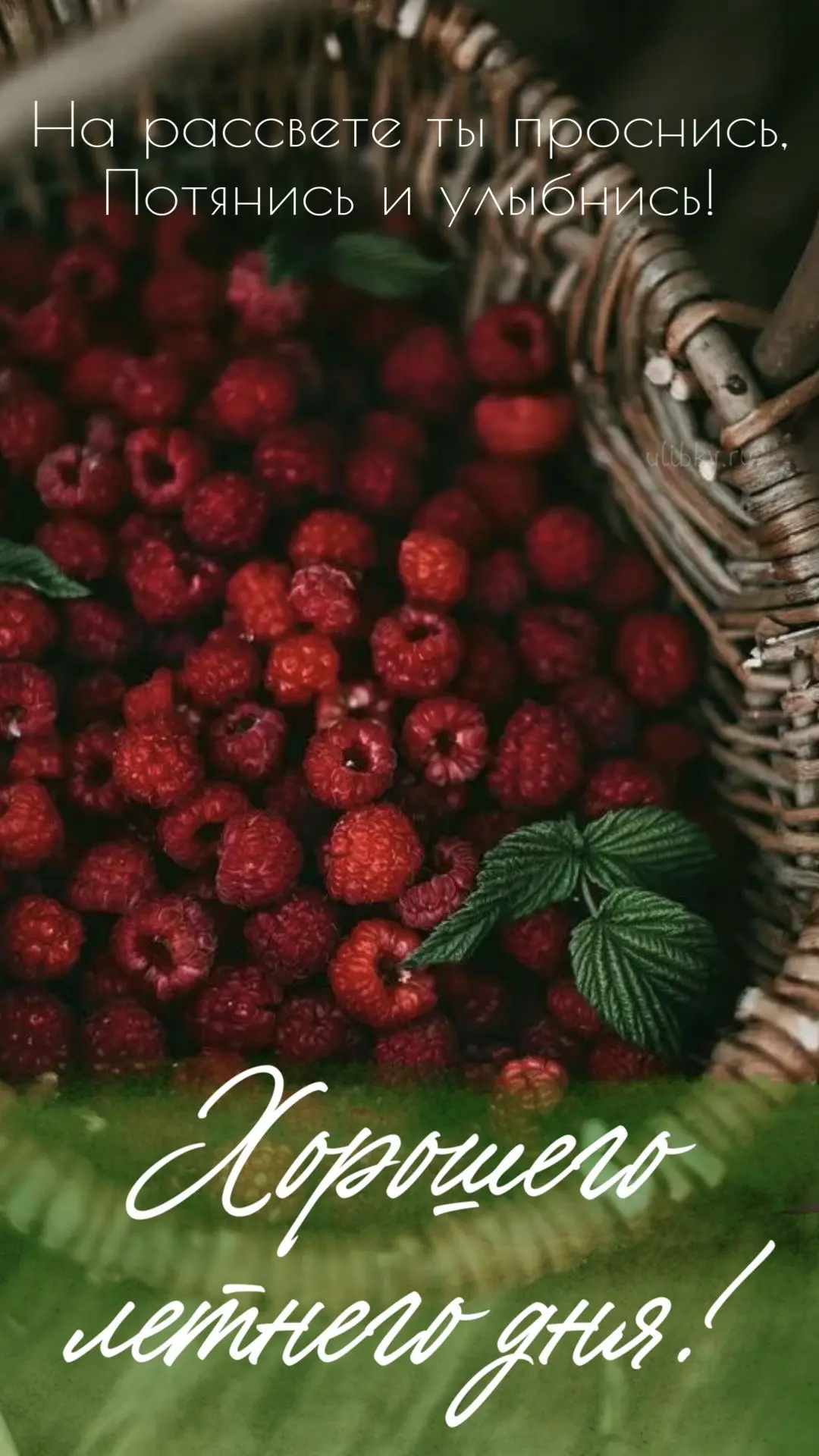 Открытки для улыбки 💌  Подписаться