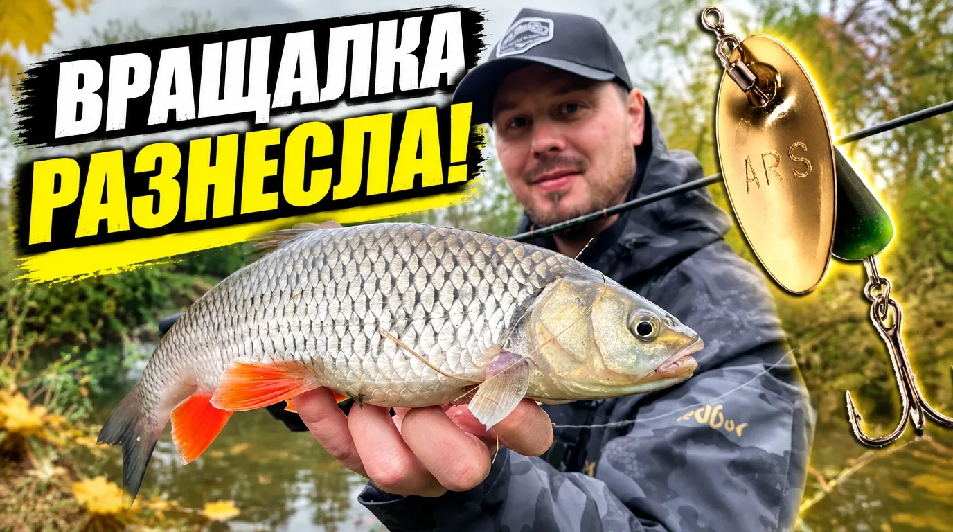 Сгонял на разведку новых мест в поисках голавля. Конец августа, лето на исходе, и как б...