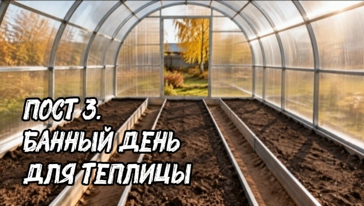 📌 ПОСТ 3. БАННЫЙ ДЕНЬ ДЛЯ ТЕПЛИЦЫ: тряпка, белизна и секретные грибы