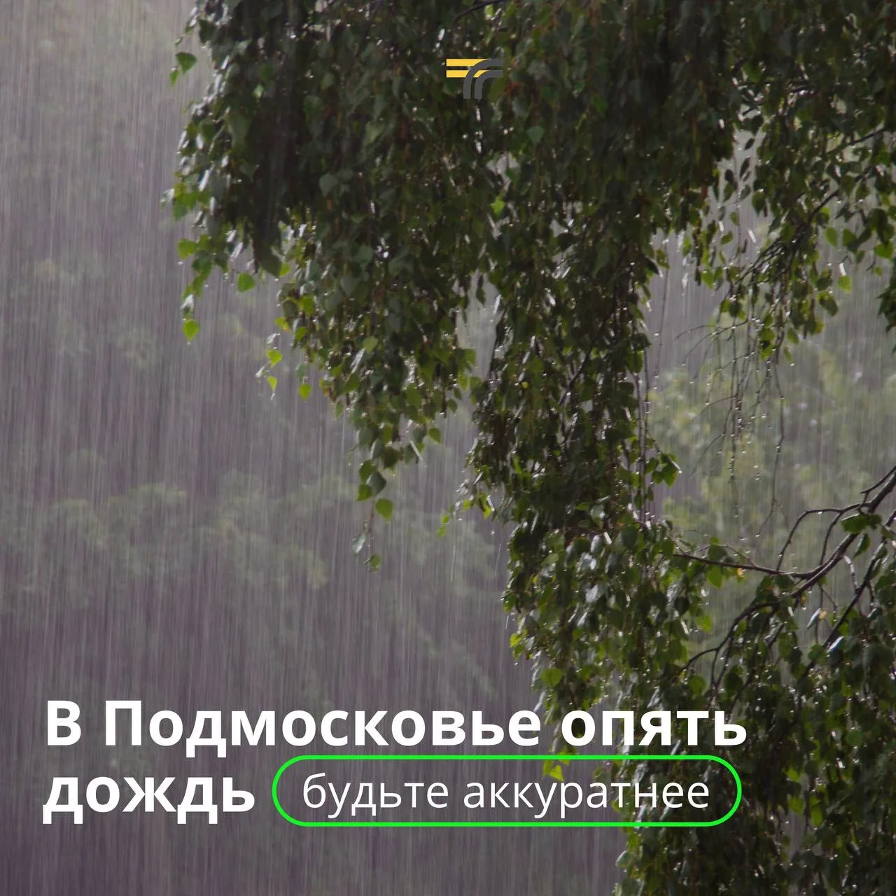 В Подмосковье местами идёт дождь, в некоторых округах — гроза и сильный ветер.
