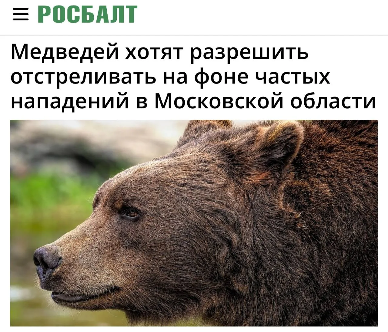 😈 «Медведей хотят разрешить отстреливать на фоне частых нападений в Московской области»: Медведей н
