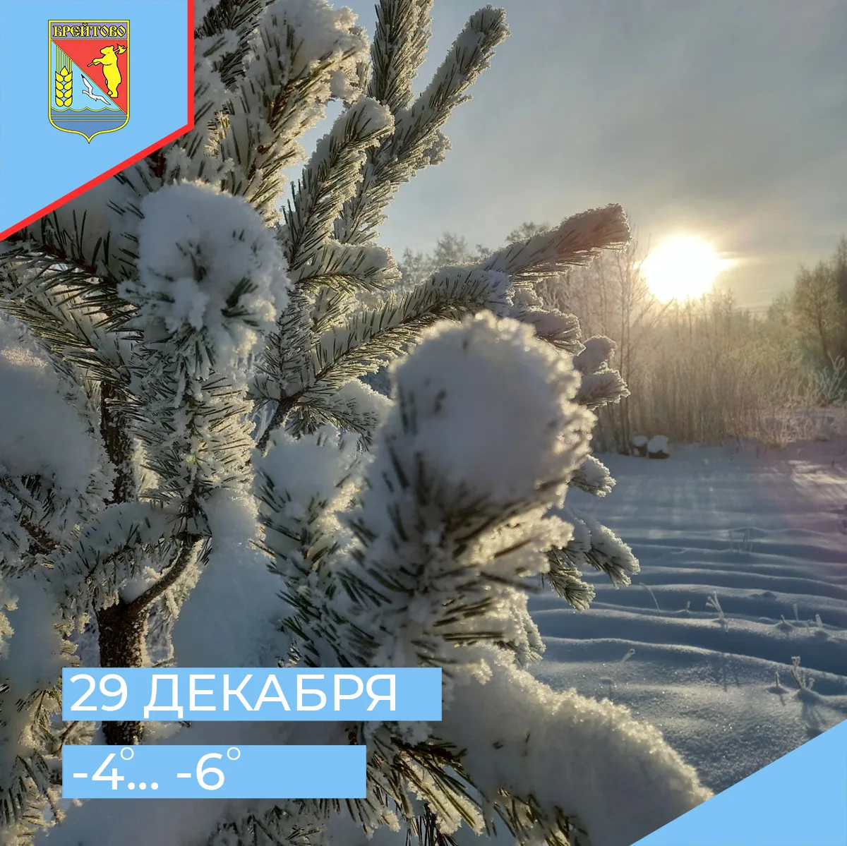 ❄ Погода на 29 декабря: днем -4, ночью -6. По данным Ярославского гидрометцентра, днем ...