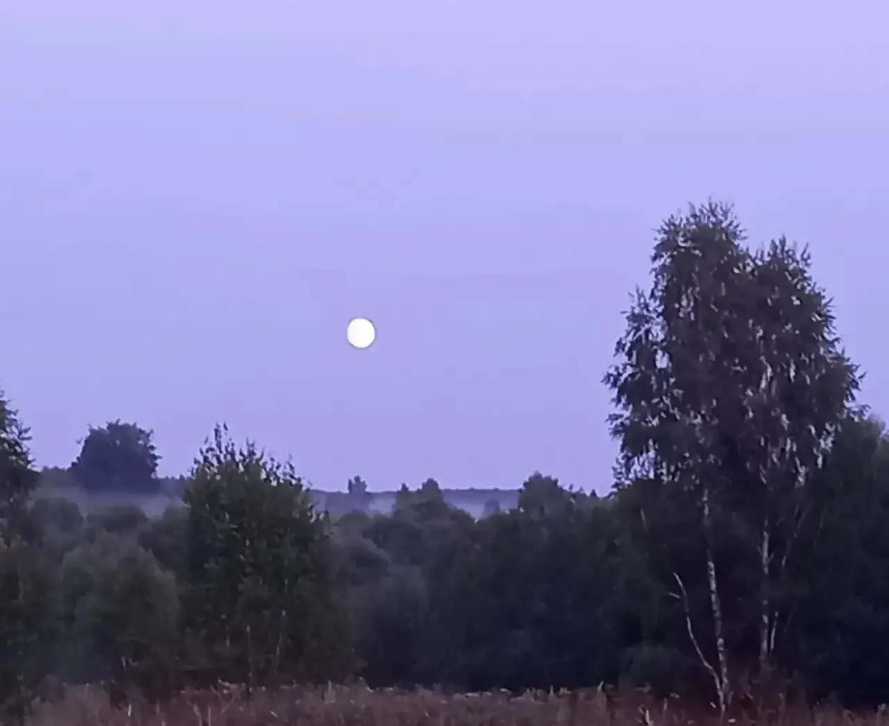 🌙 Доброй ночи, Тула!

Если и у вас есть, что показать городу, присылайте снимки в предложку — @Tula