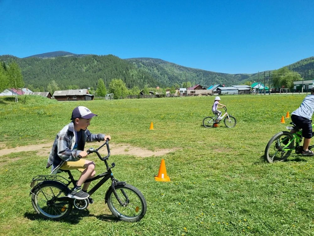 3 июня – Всемирный день велосипедиста! 🚲🎉