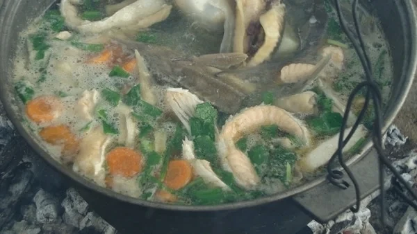 🎣 Уха из стерляди и сёмги — прозрачный рыбный суп с картофелем, морковью и зелёным луком.