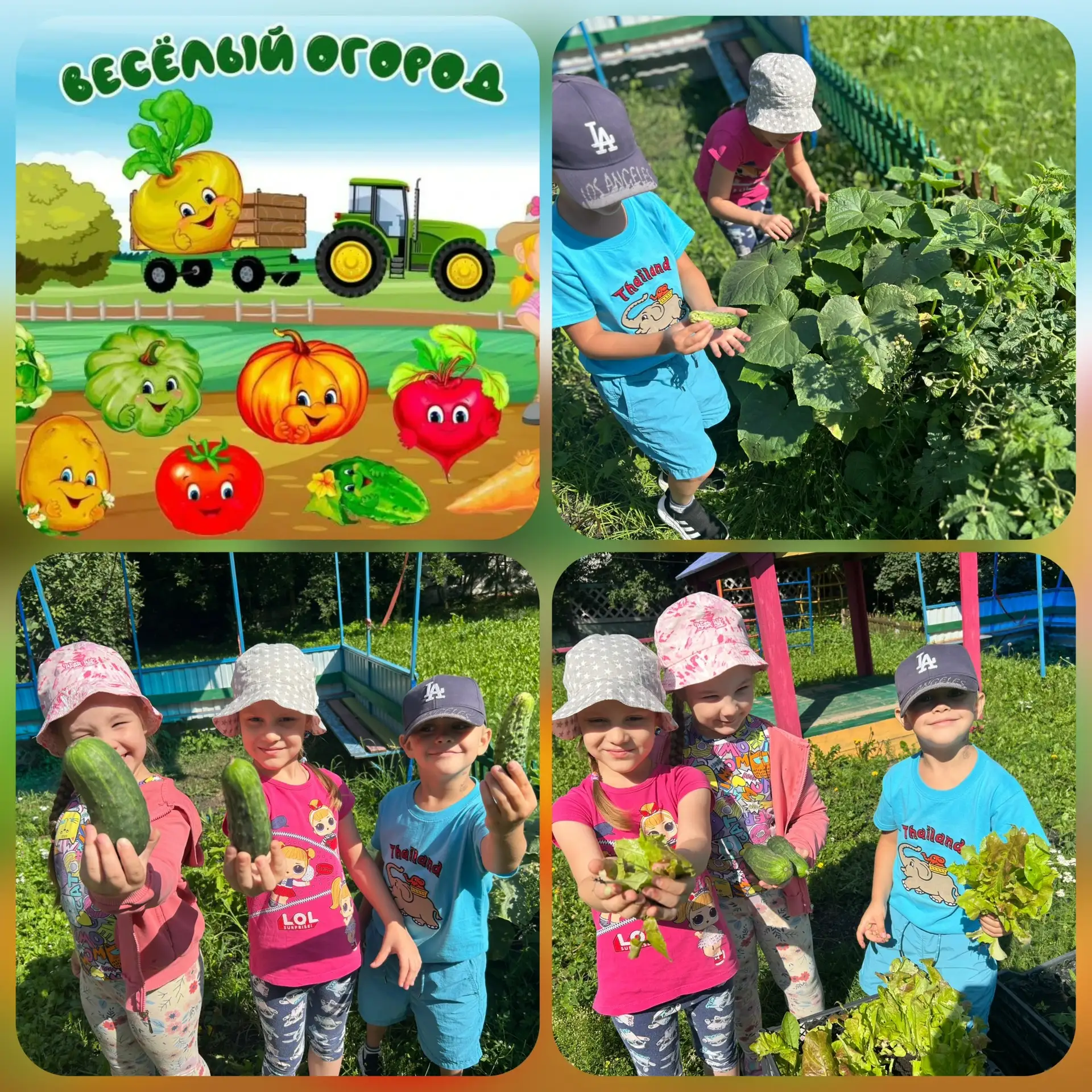 Наш первый урожай — своими руками! 🍅🥒✨
Сегодня в нашем детском саду был настоящий праздник урожая!