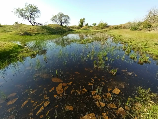 Напомню, мы стоим у миниатюрных затапливаемых снеговыми водами карьеров возле Марусино. В них всего 