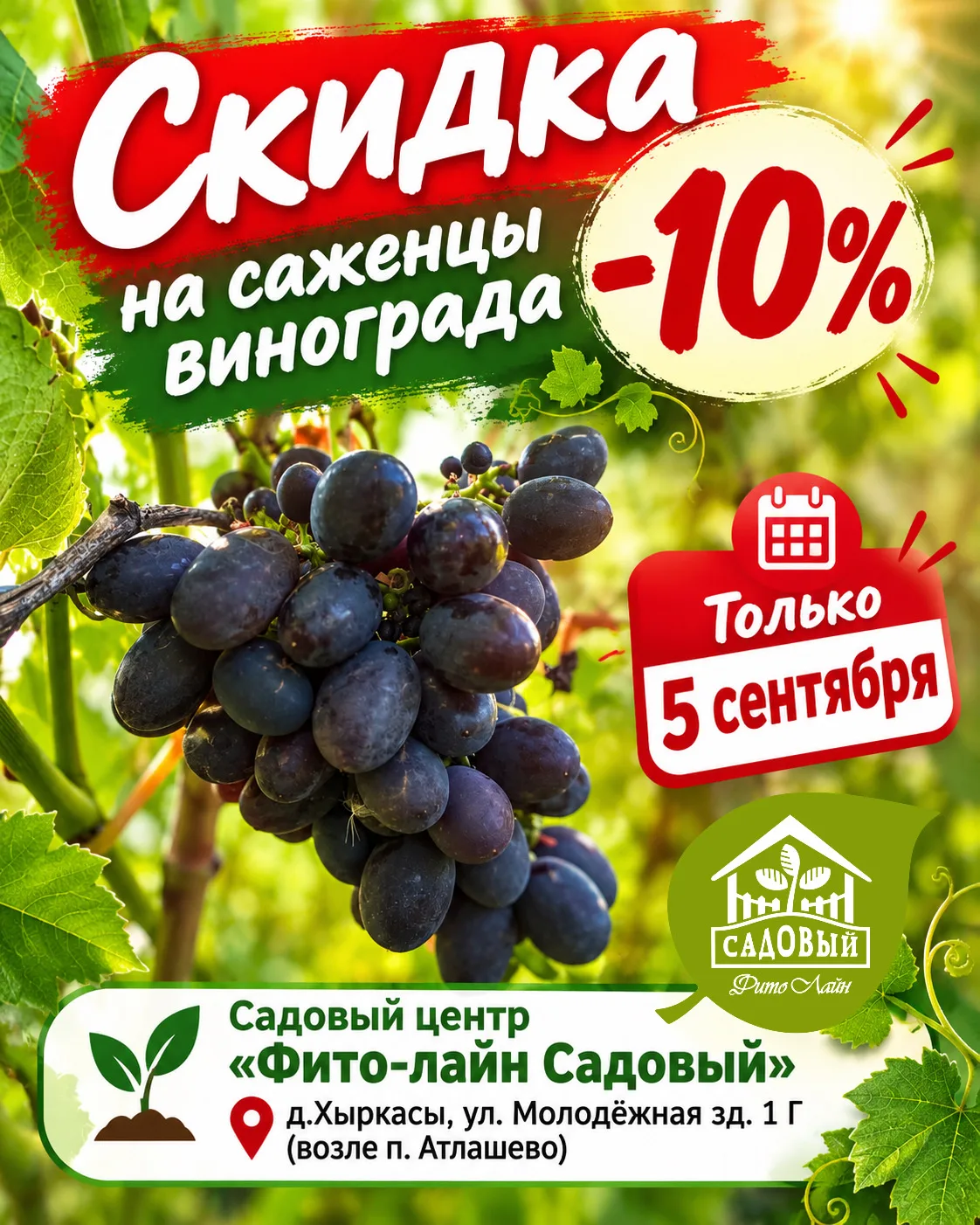 🍇 Уже завтра — День винограда в питомнике «Ивушка»!