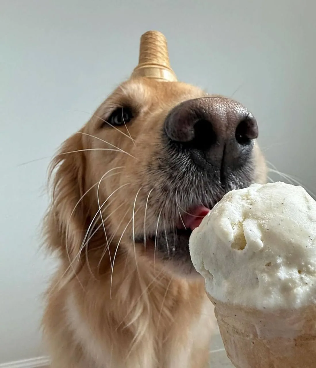 🍨 Всемирный день мороженого отмечается сегодня