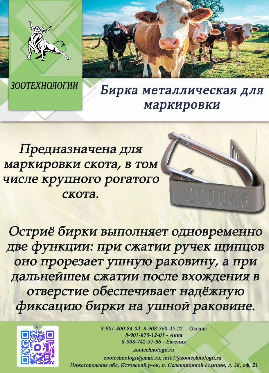 🏷️ Металлическая бирка для КРС: маркировка, которая не теряется и не выцветает