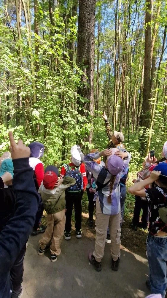 🌲 Настоящее лесное приключение для 2 «Б»!   Какой чудесный день для прогулки! Ученики 2 «Б» класса в