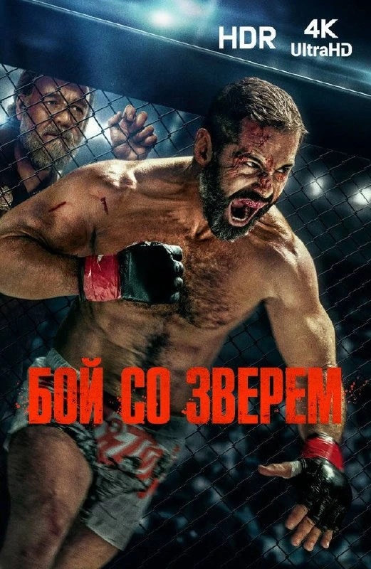 #что_посмотреть