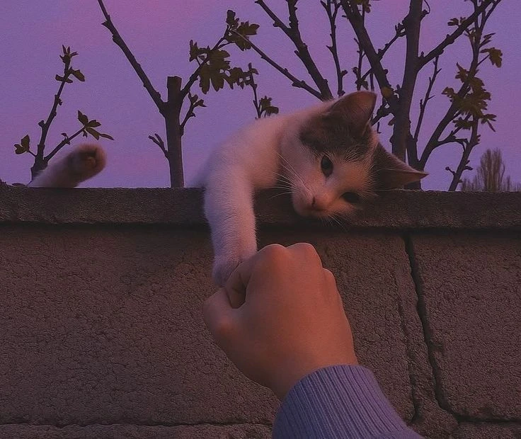 Доброе утро, Волжский МЭИ! ☀️