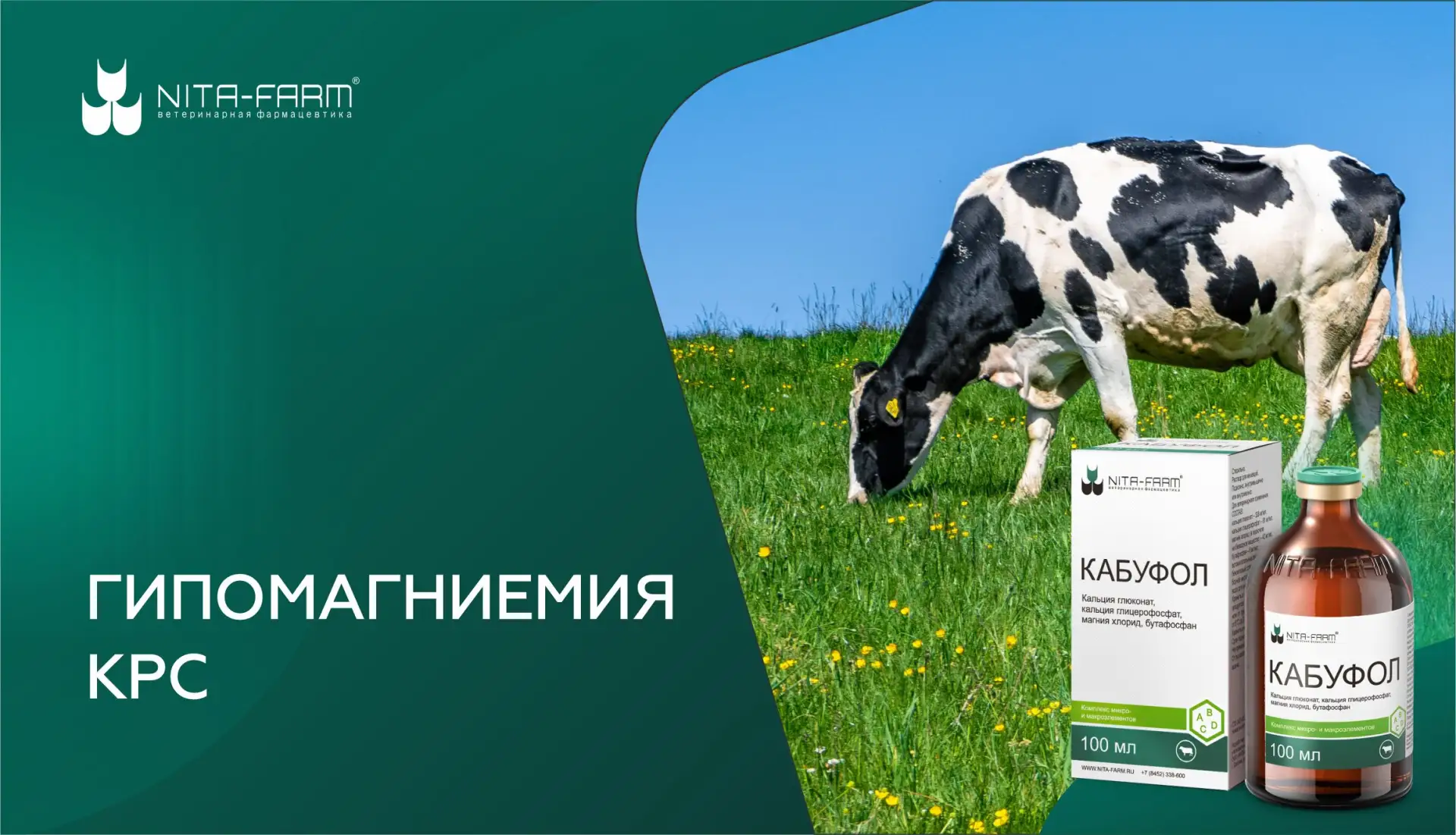Гипомагниемия КРС (пастбищная тетания) — одно из наиболее серьёзных метаболических нару...
