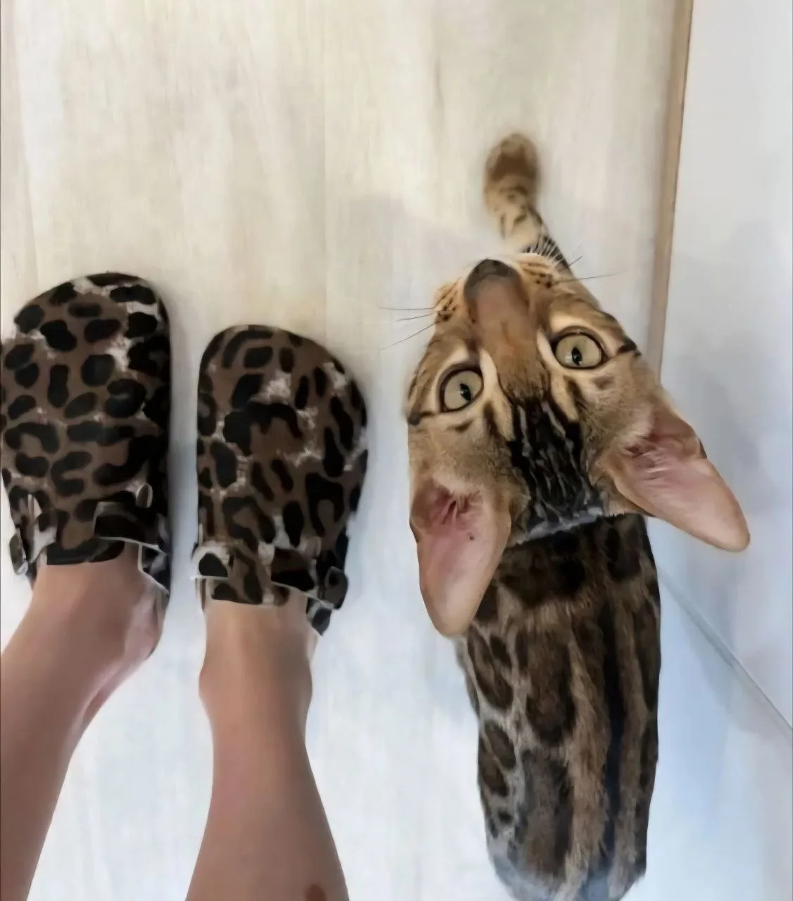 Вашиотзывы ♥️