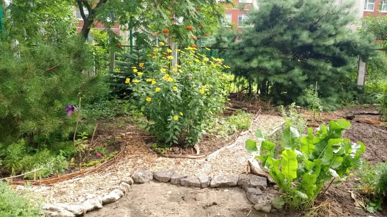 🌺 Уголок красоты и уюта, созданный жителями дома. Делитесь фотографиями цветников и клумб, созданны