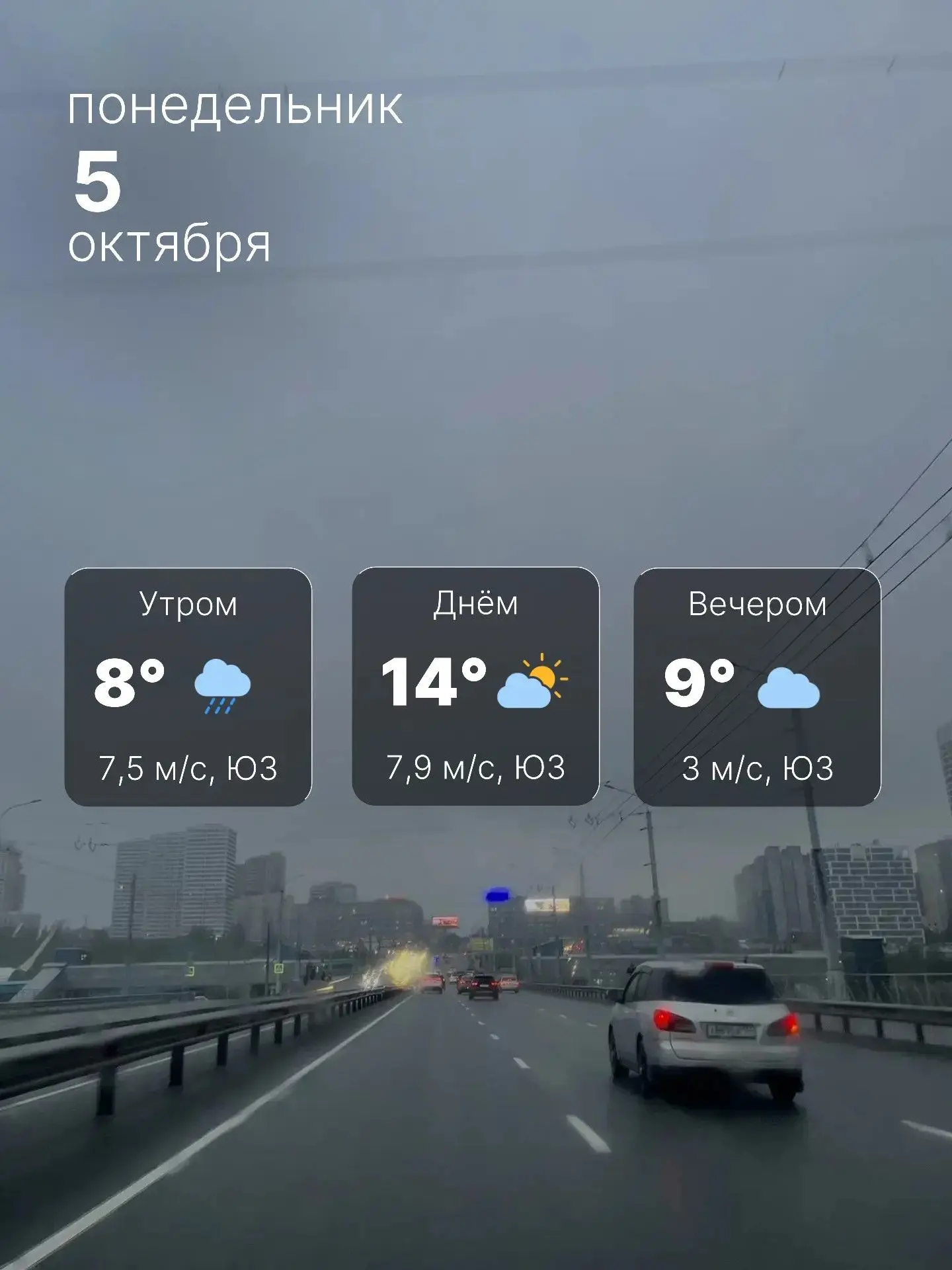 🌧 Прохладно и дождливо