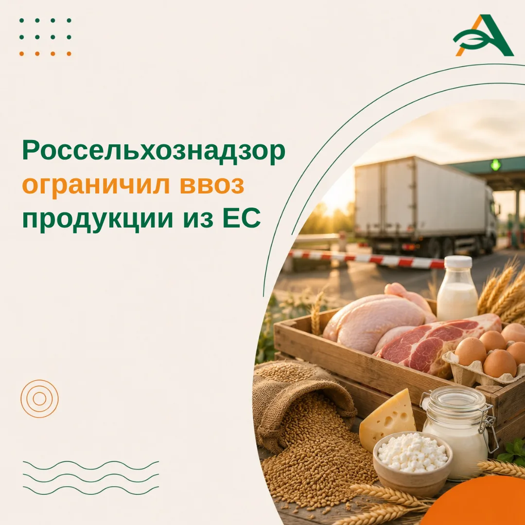 Россия вводит ограничения на транзит мяса и субпродуктов птицы из ЕС с 5 августа
