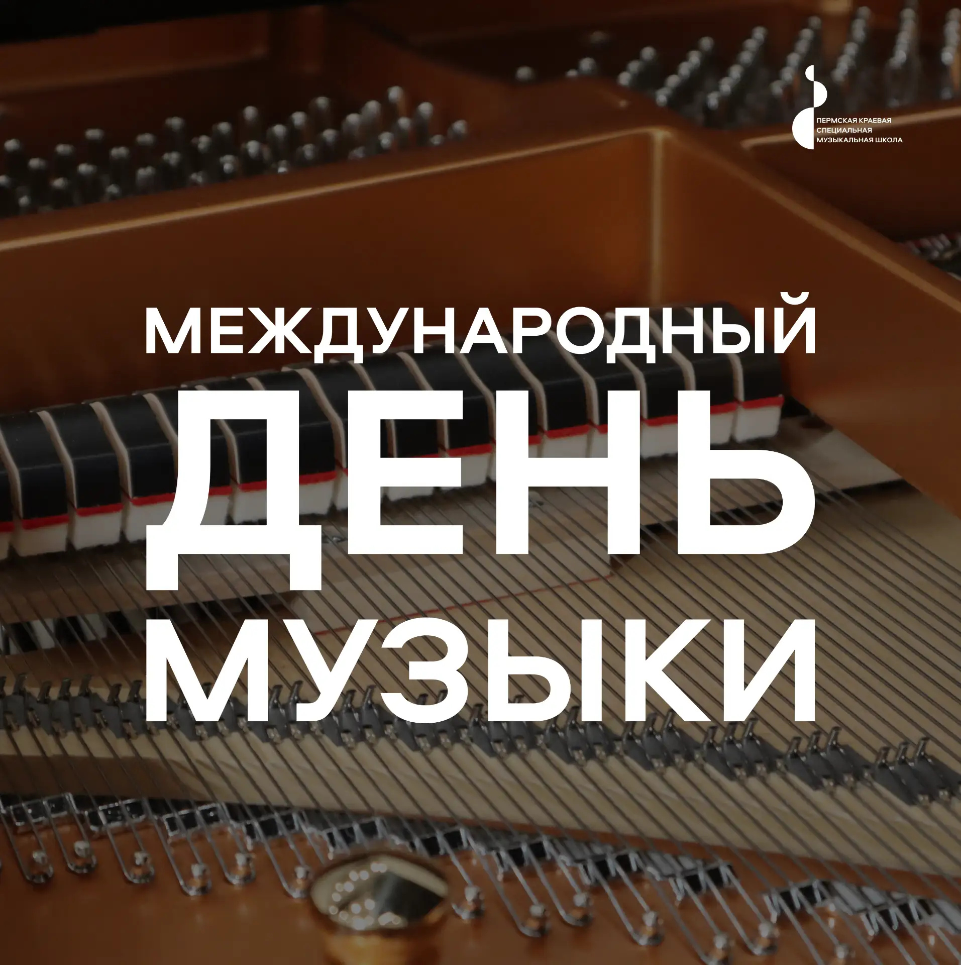 Дорогие друзья!