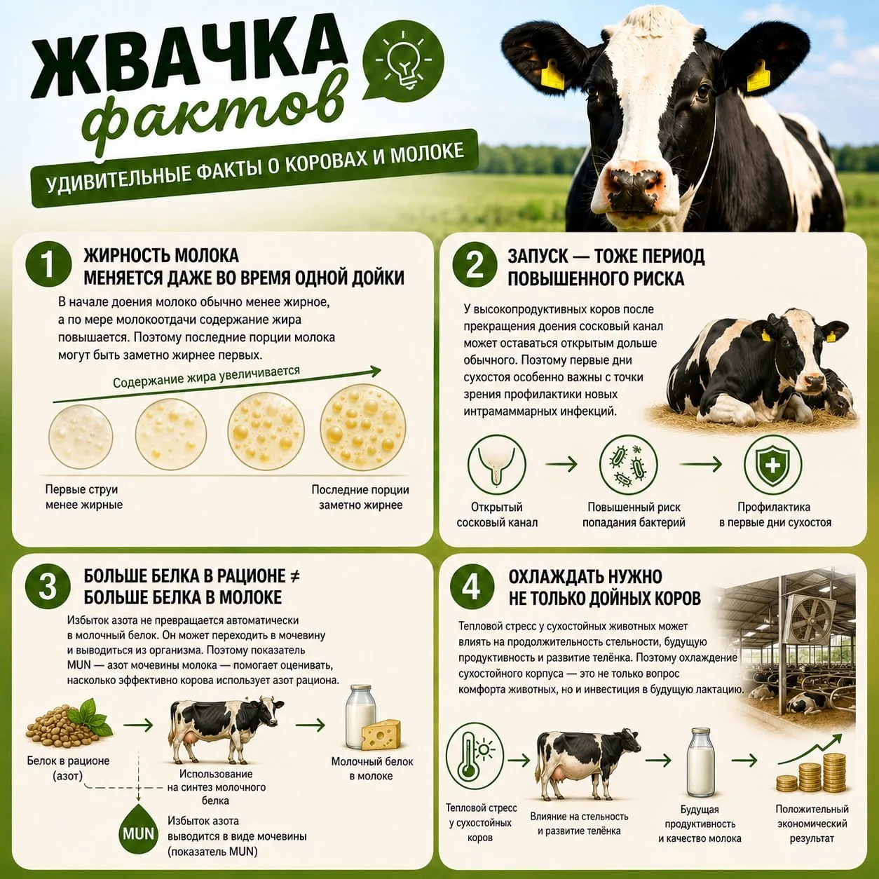 🧠 Жвачка фактов