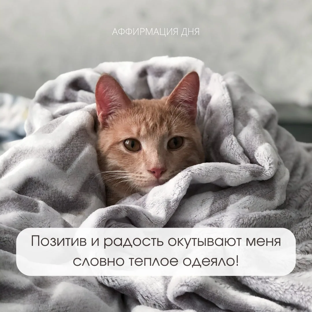 Аффирмация дня✨