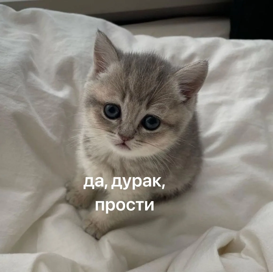День извинений: время прощать и просить прощения