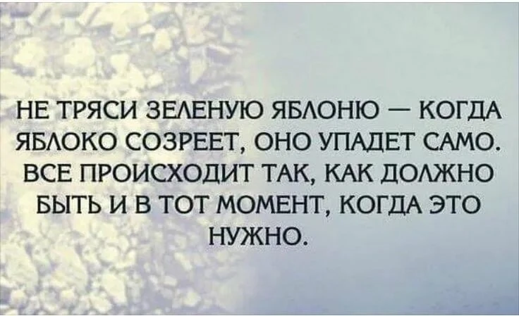 Не стоит торопить события: